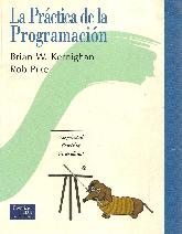 La practica de la programacion