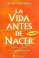 La vida antes de nacer