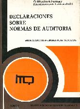 Declaraciones sobre auditoria T I