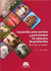 Inspeccin ante mortem y post mortem en animales de produccin