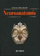 Neuroanatoma