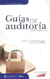 Guas de Auditora