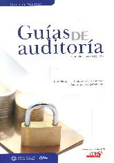 Guas de Auditora ( versin profesional )