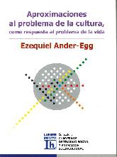 Aproximaciones al problema de la cultura