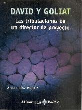 Las tribulaciones de un director de proyectos - David y Goliat