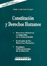 Constitucin y derechos humanos