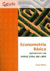 Econometra Bsica