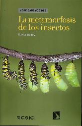 La metamorfosis de los insectos