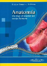 Anatoma