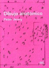 Dibujo anatmico