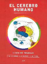 El cerebro humano