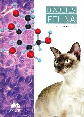 Diebetes felina