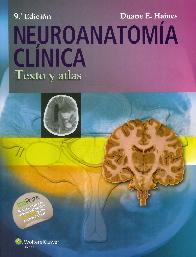 Neuroanatoma Clnica