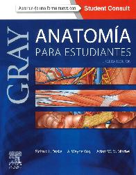 Anatoma para estudiantes Gray 