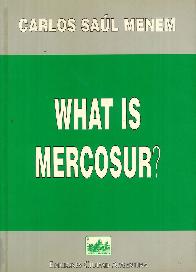 What is Mercosur?