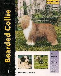 Bearded collie