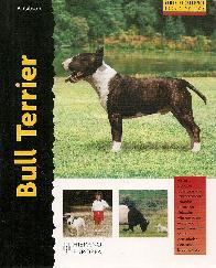 Bull Terrier