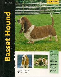 Basset Hound