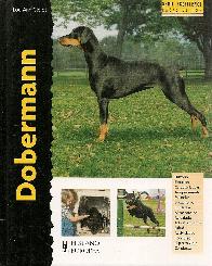 Doberman
