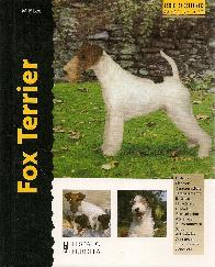 Fox Terrier