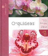 Orqudeas