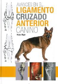 Avances en el ligamento cruzado anterior canino