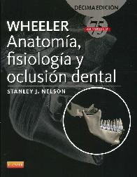 Anatoma, fisiologa y oclusin dental Wheeler