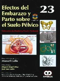Efectos del embarazo y parto sobre el suelo plvico