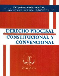 Derecho Procesal Constitucional y Convencional