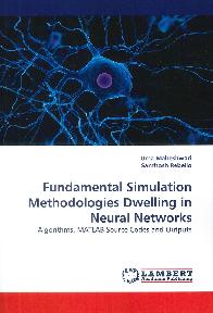 Fundamental Simulation Methodologies Dwelling in Neural Networks