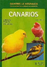 Canarios