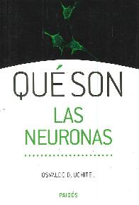 Qu Son  Las Neuronas