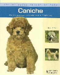 Caniche