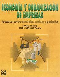 Economa y organizacin de empresas