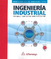 Ingeniera Industrial