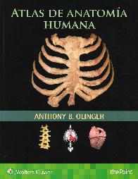 Atlas de Anatoma Humana