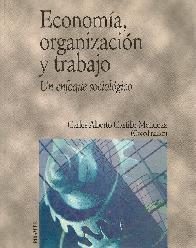 Economia, Organizacion y trabajo