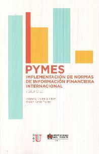 PYMES Implementacin de normas de informacin financiera internacional