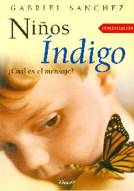 Nios Indigo 