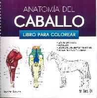 Anatoma del Caballo