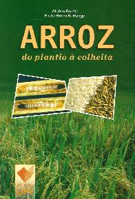 Arroz