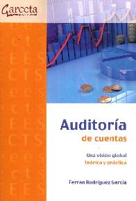 Auditora de cuentas. Una visin global terica y prctica