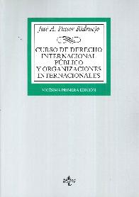 Curso de derecho internacional publico y organizaciones internacionales