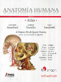 Atlas Anatoma Humana 3 Tomos