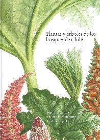 Plantas y rboles de los Bosques de Chile