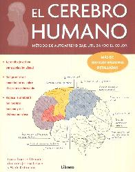 El cerebro humano. Metodo de autoaprendizaje utilizando el color