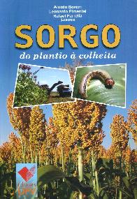 Sorgo