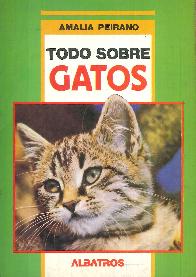 Todo sobre gatos