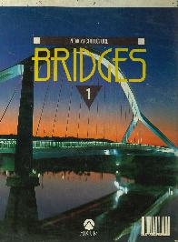 Bridges 1