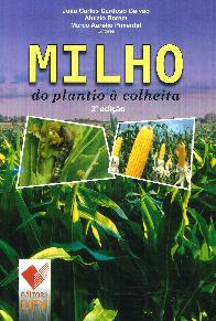 Milho do platio a colheita